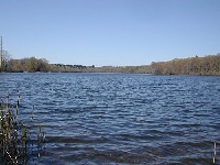 Coachlace Pond