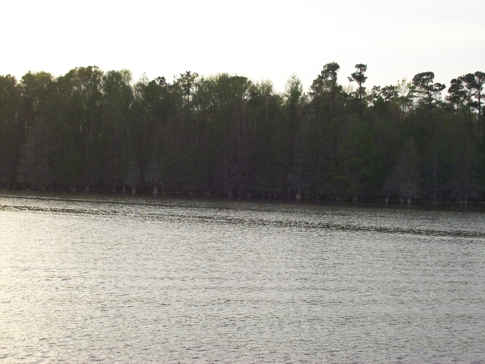 Santee StatePark near Manning