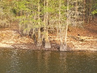 Lake Marion