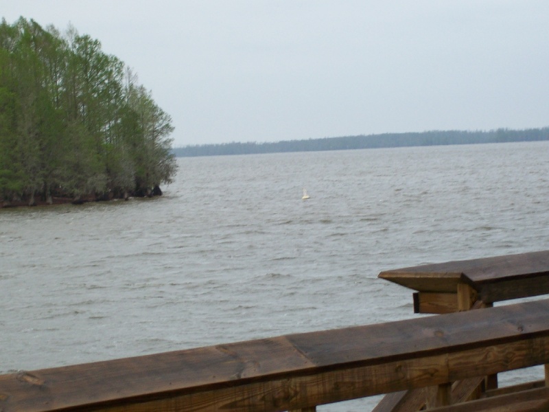 Can you see the White Caps near Cane Savannah