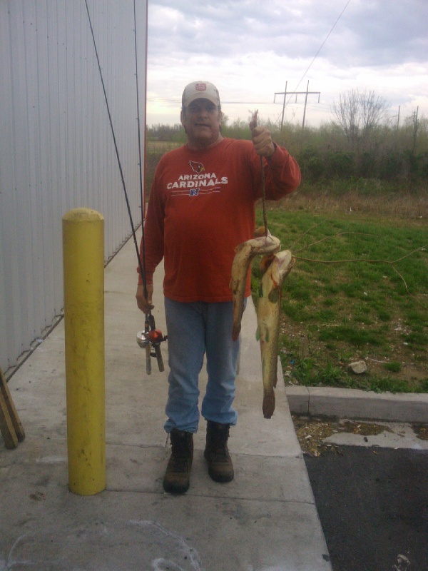 Bowfin in KY